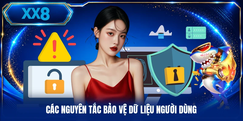 Quyền Riêng Tư XX8 Các nguyên tắc bảo vệ dữ liệu người dùng
