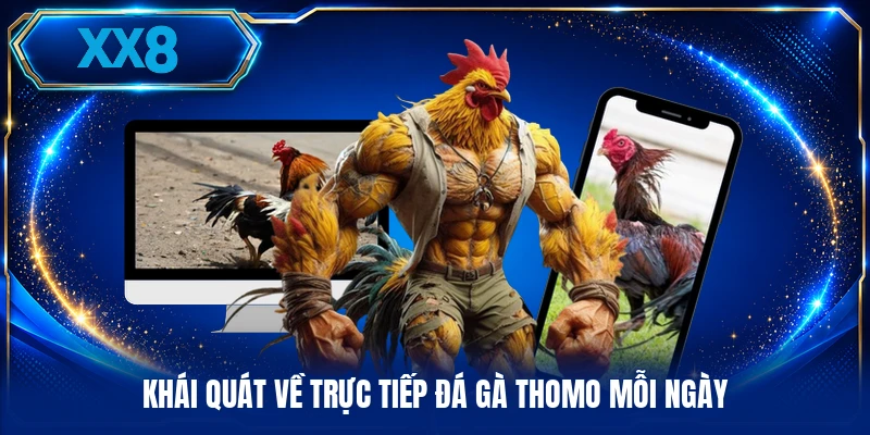 Khái quát về trực tiếp đá gà Thomo mỗi ngày