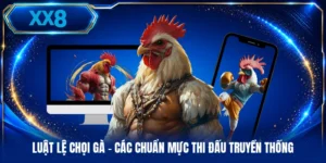 Luật Lệ Chọi Gà - Các Chuẩn Mực Thi Đấu Truyền Thống