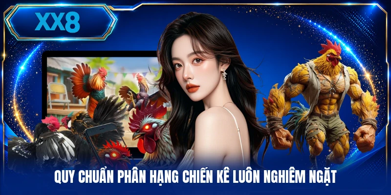 Quy chuẩn phân hạng chiến kê luôn nghiêm ngặt