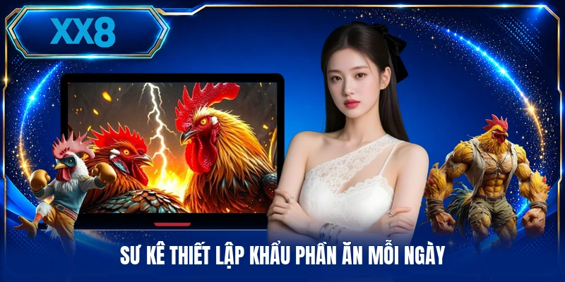 Sư kê thiết lập khẩu phần ăn mỗi ngày