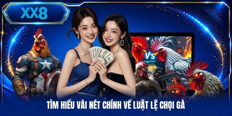 Tìm hiểu vài nét chính về luật lệ chọi gà