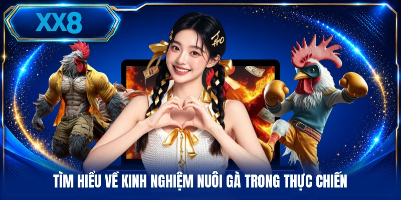 Tìm hiểu về kinh nghiệm nuôi gà trong thực chiến