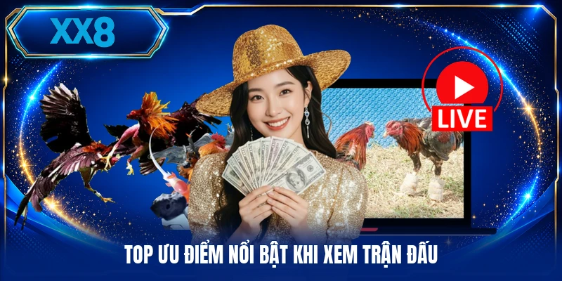 Top ưu điểm nổi bật khi xem trận đấu